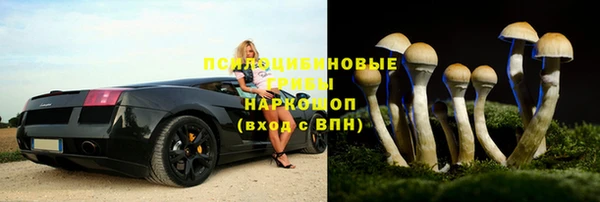 ALPHA PVP Бородино